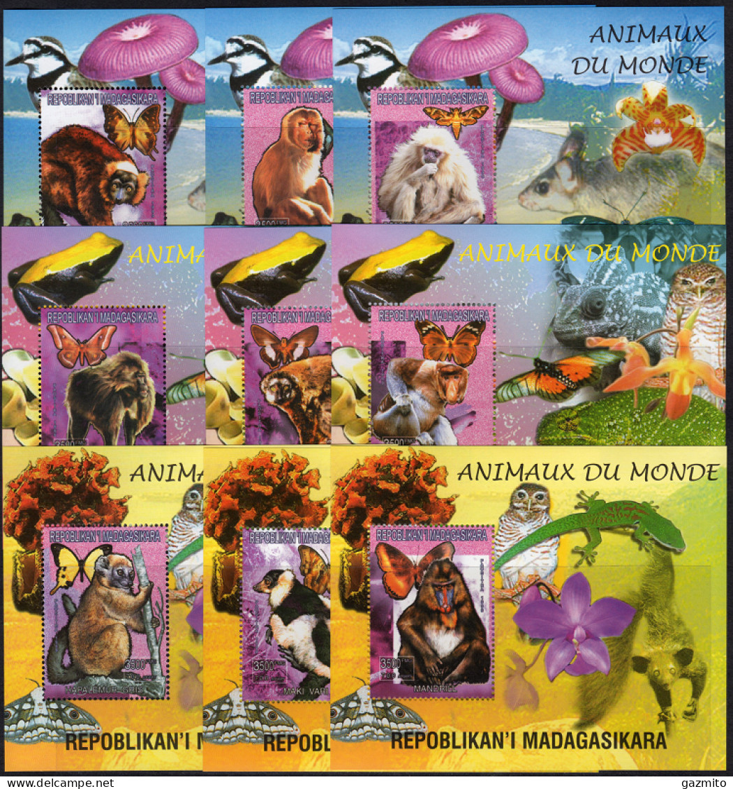 Madagascar 1999, Animals, Mushrooms, Monkey, Owl, Butterflies, Frog, Orchids, Bird, 9BF - Rane