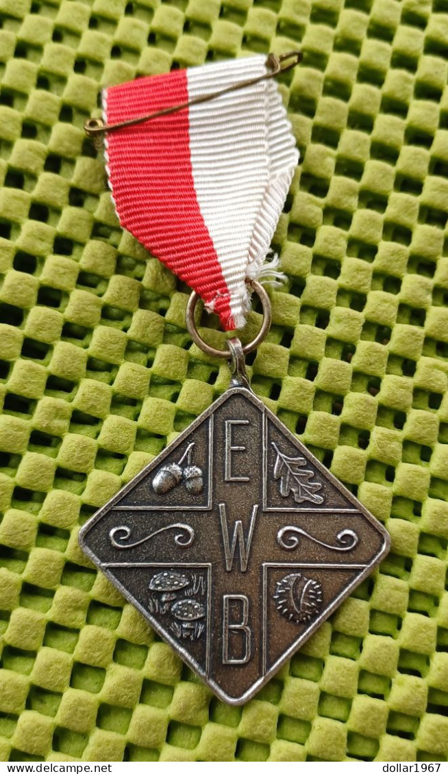 Medaille -   E.W.B - Enschedese Wandelsport Bond..  -  Original Foto  !!  Medallion  Dutch - Sonstige & Ohne Zuordnung