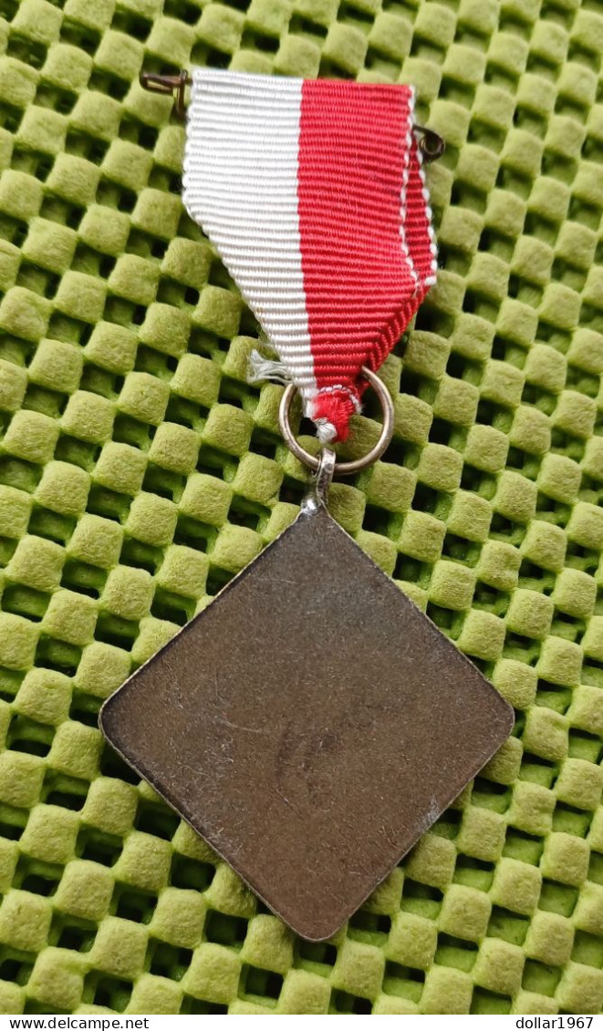 Medaille -   E.W.B - Enschedese Wandelsport Bond..  -  Original Foto  !!  Medallion  Dutch - Autres & Non Classés