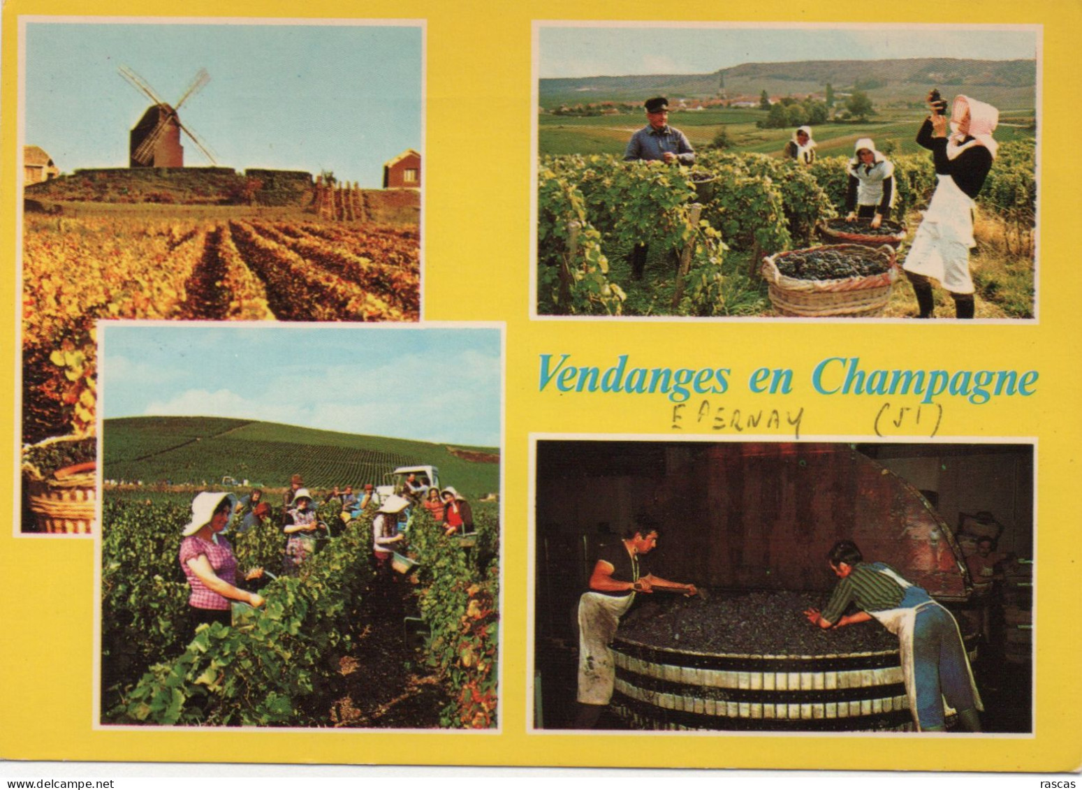 CPM - VENDANGES EN CHAMPAGNE - Champagne - Ardenne