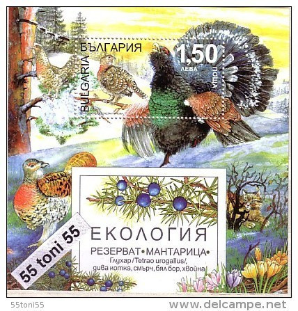 2013  Ecology Reserve Mantaritsa (capercaillie, Wildcat, Spruce, Juniper, Pine. S/S-MNH BULGARIA / BULGARIE - Nuovi