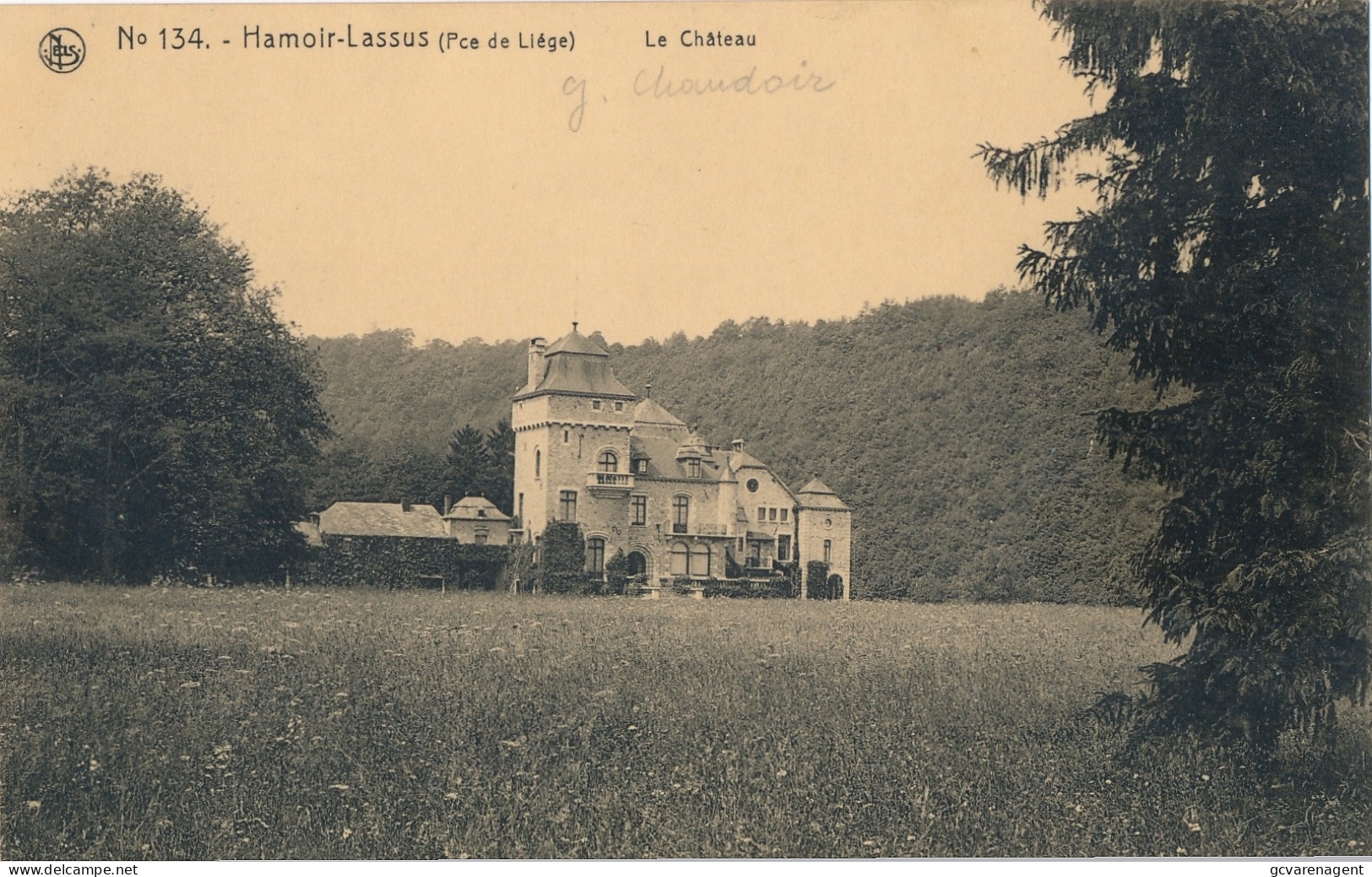 HAMOIR LASSUS   LE CHATEAU             ZIE SCANS - Hamoir