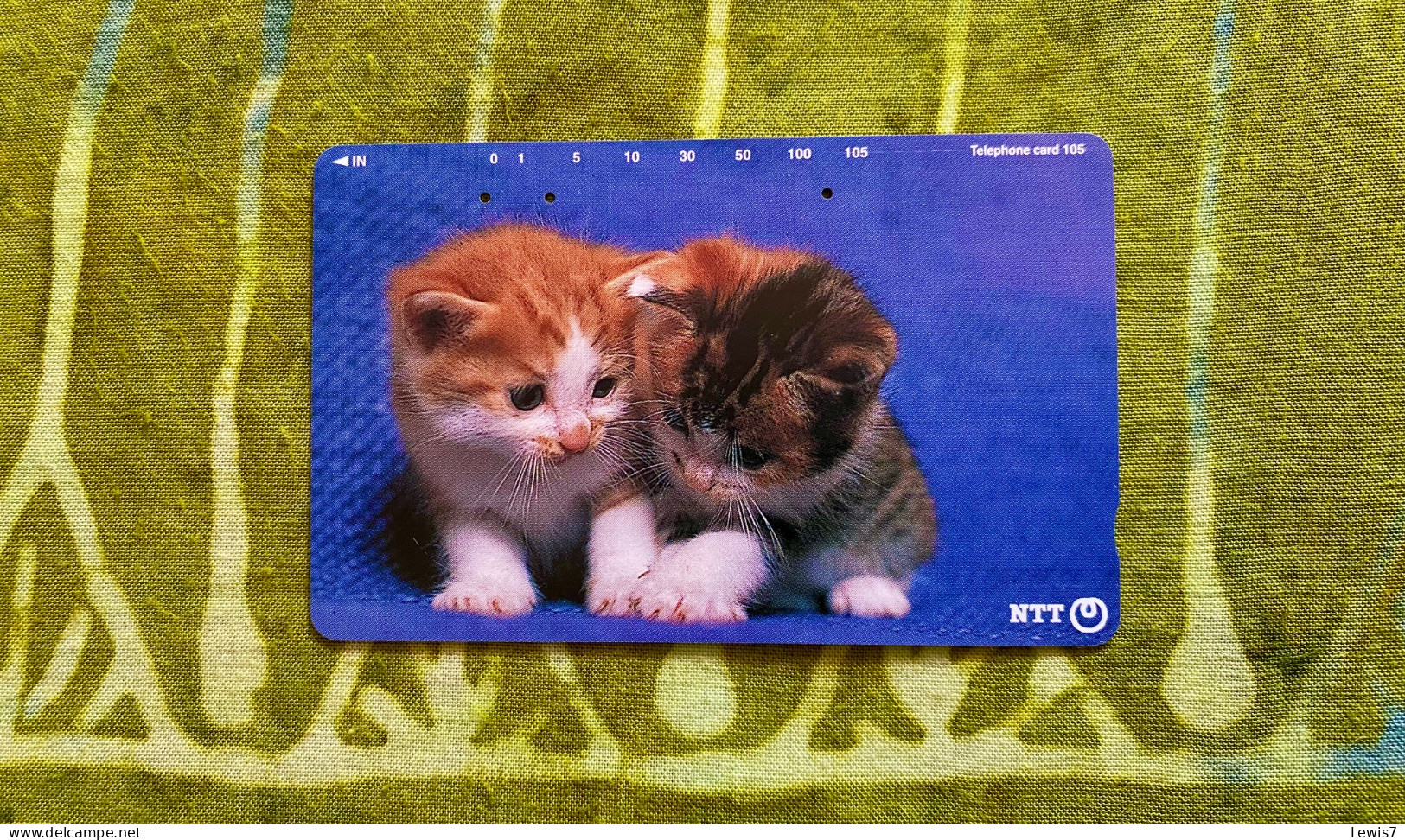 Phone Card - Kitten - Japan - Fish