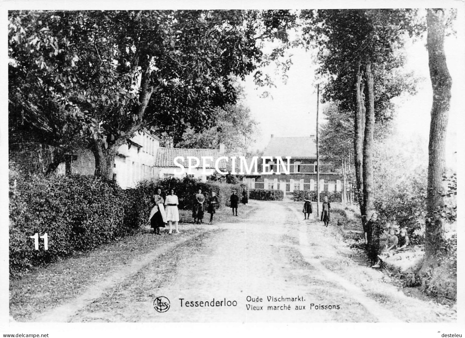 Oude Vischmarkt - Tessenderlo - Repro - Tessenderlo