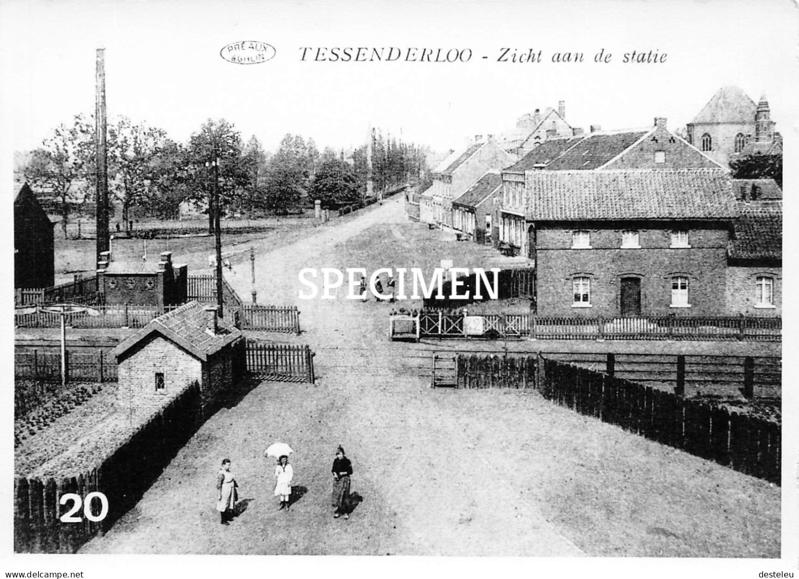 Zicht Aan De Statie - Tessenderlo - Repro - Tessenderlo