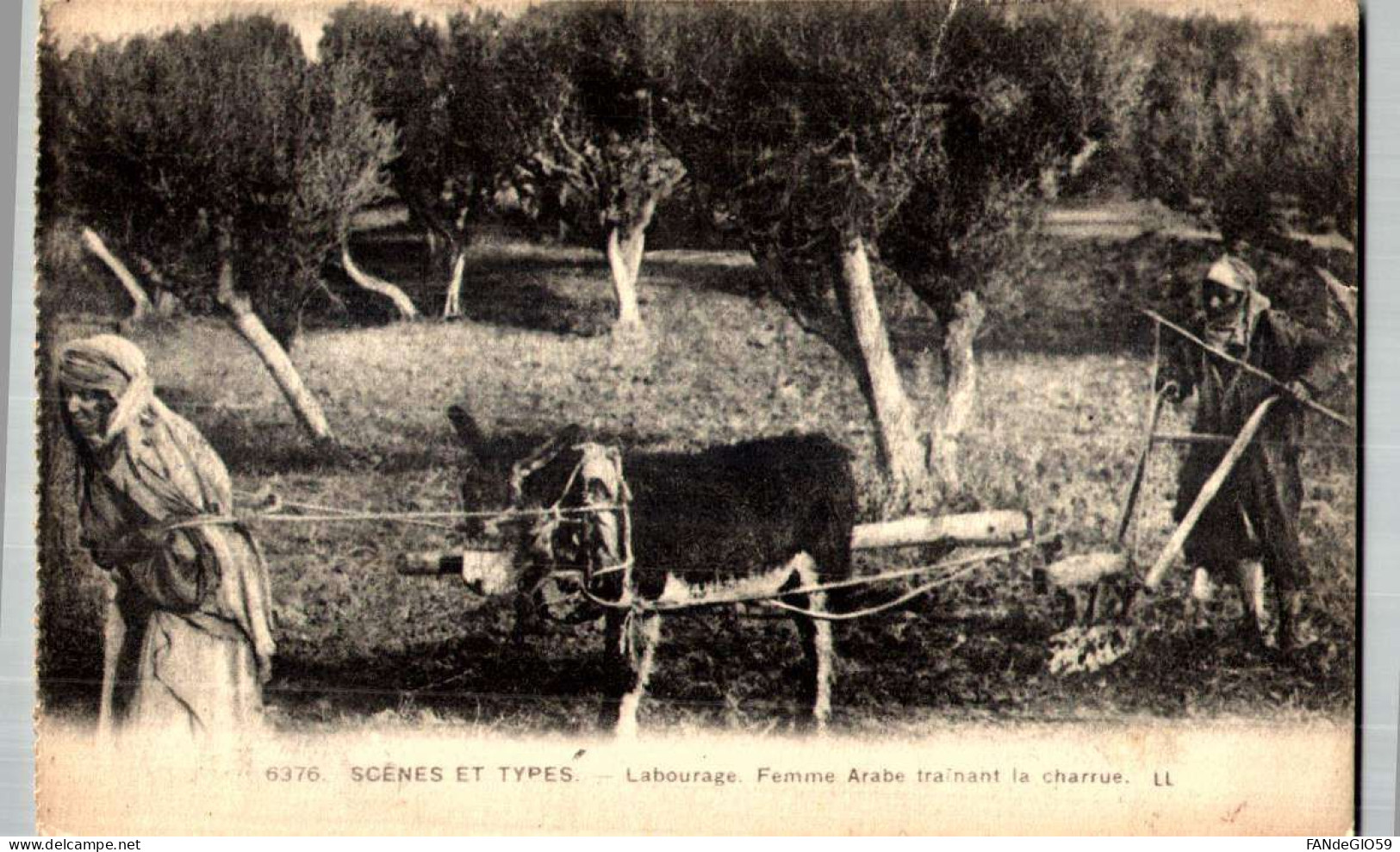 - CPA SCÈNES ET TYPES - Labourage - Femme Arabe Traînant La Charrue/// 36 - Scenes