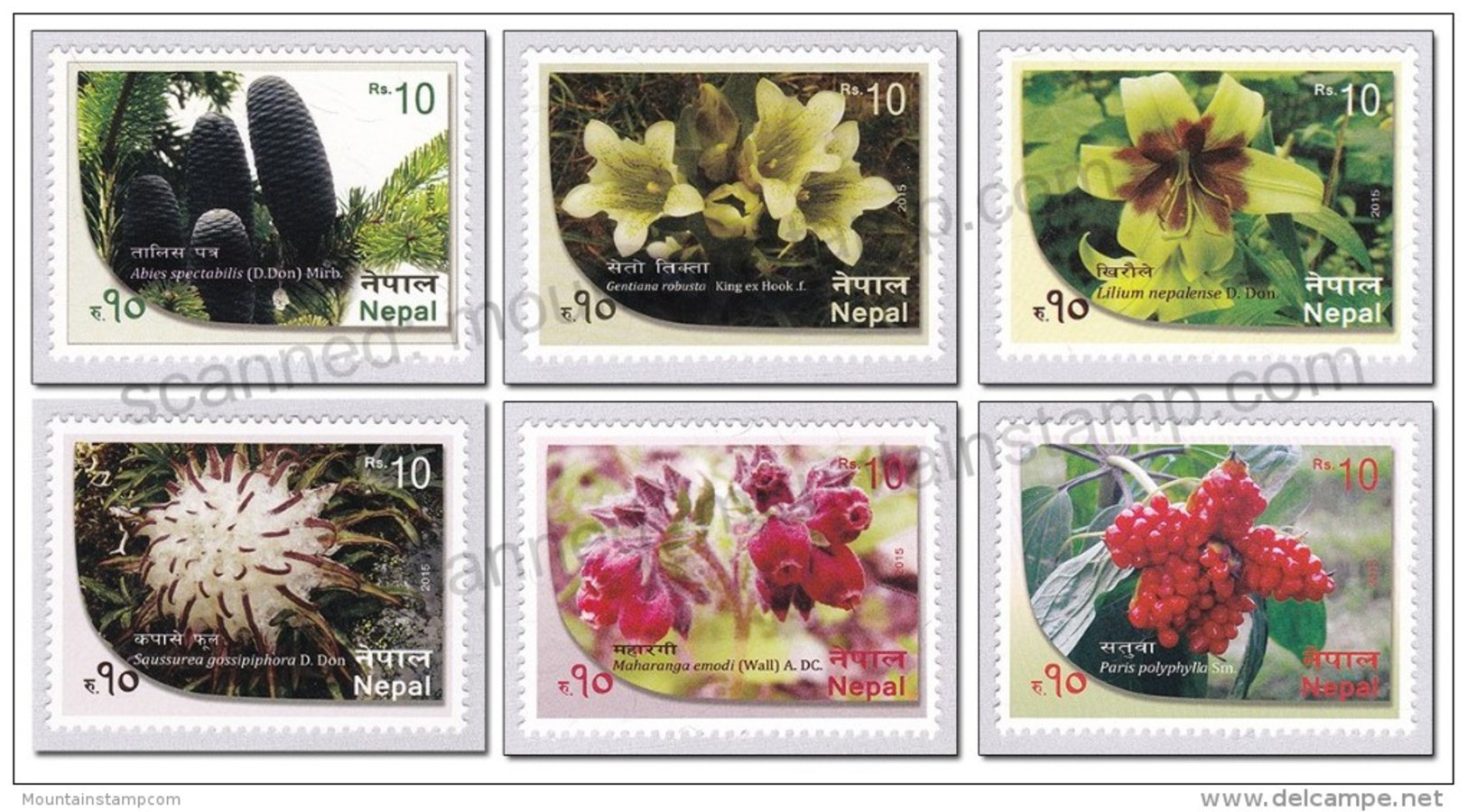 Nepal 2015 (8) Blumen Flowers Fleurs Fiori MNH ** - Nepal