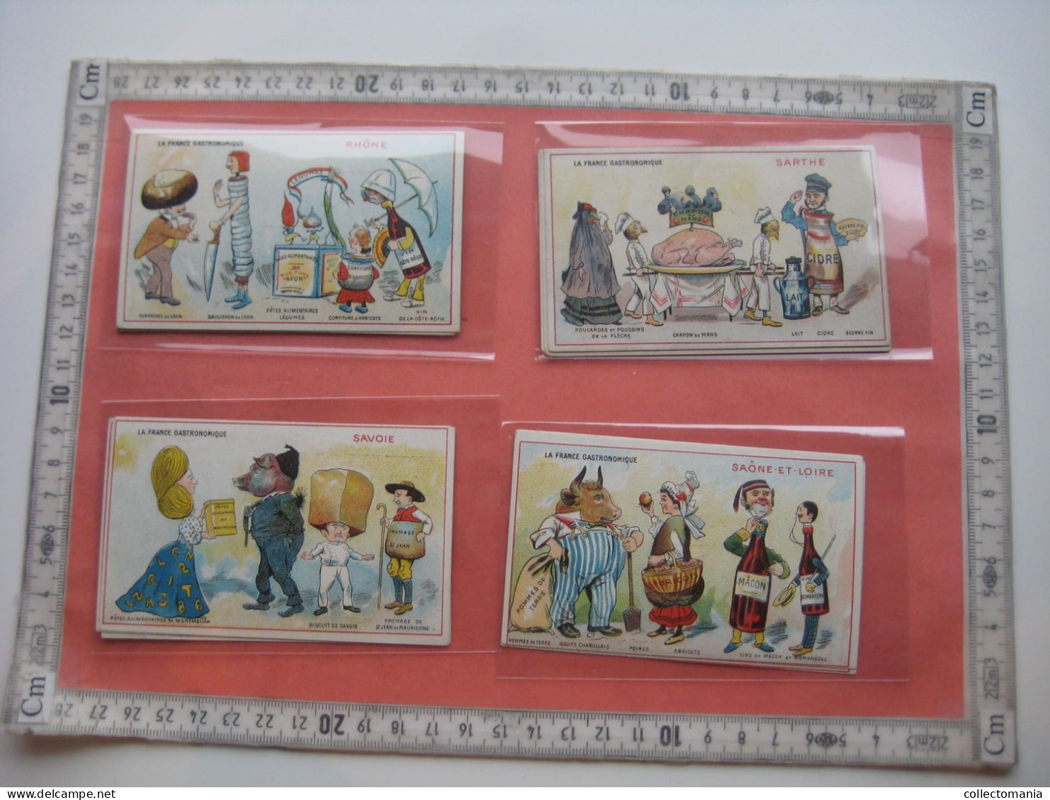 33 Trade Cards Anthropomorphic Dressed Animals Acting Like People, Veggie People Fruit, Dressed Food,  C1890 Vegetable - Collections
