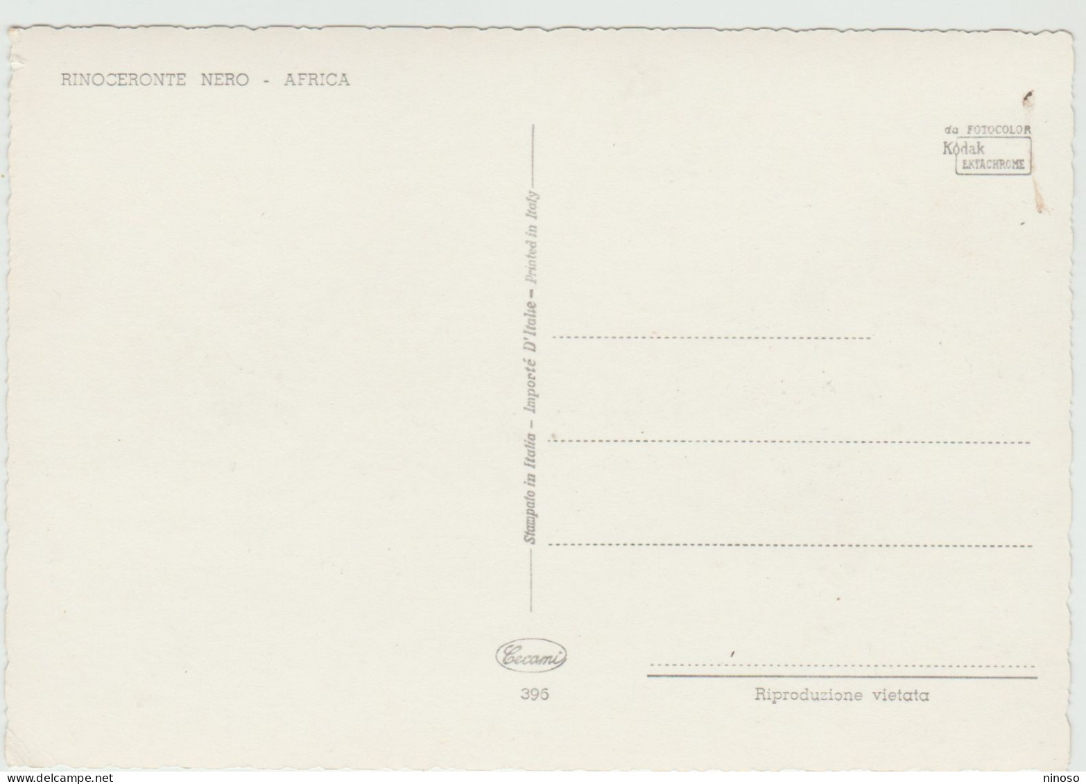 CARTOLINA NON VIAGGIATA - RINOCERONTE NERO - AFRICA  -  ED. CARAMI - MILANO - Rhinozeros