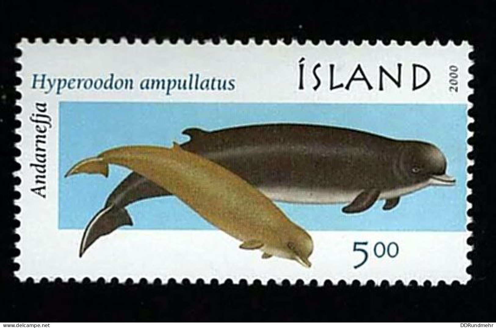 2000 Whales Michel IS 954 Stamp Number IS 911 Yvert Et Tellier IS 891 Stanley Gibbons IS 966 AFA IS 939 Xx MNH - Neufs