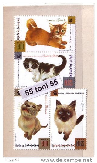 2013  Fauna - Pet Kittens  4v. – MNH  BULGARIA / Bulgarie - Neufs