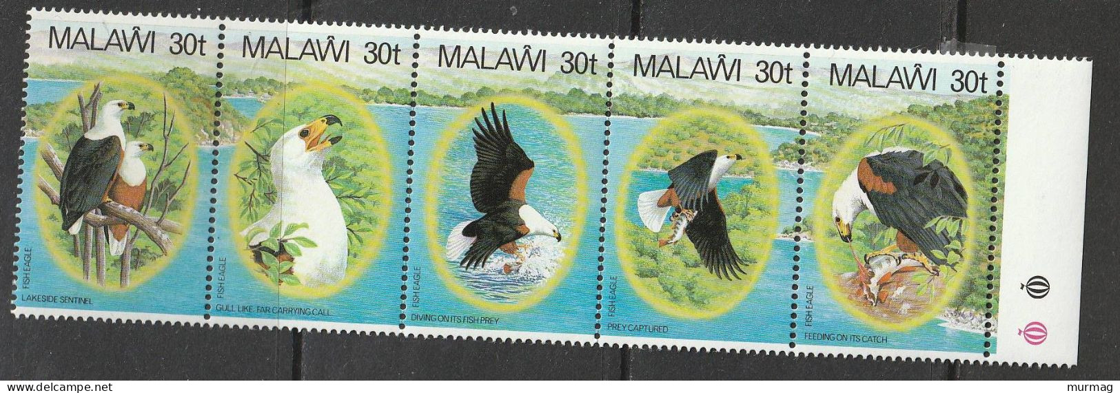 MALAWI - Faune, Oiseaux Lakeside Sentinel, Prey Captured - MNH - Malawi (1964-...)
