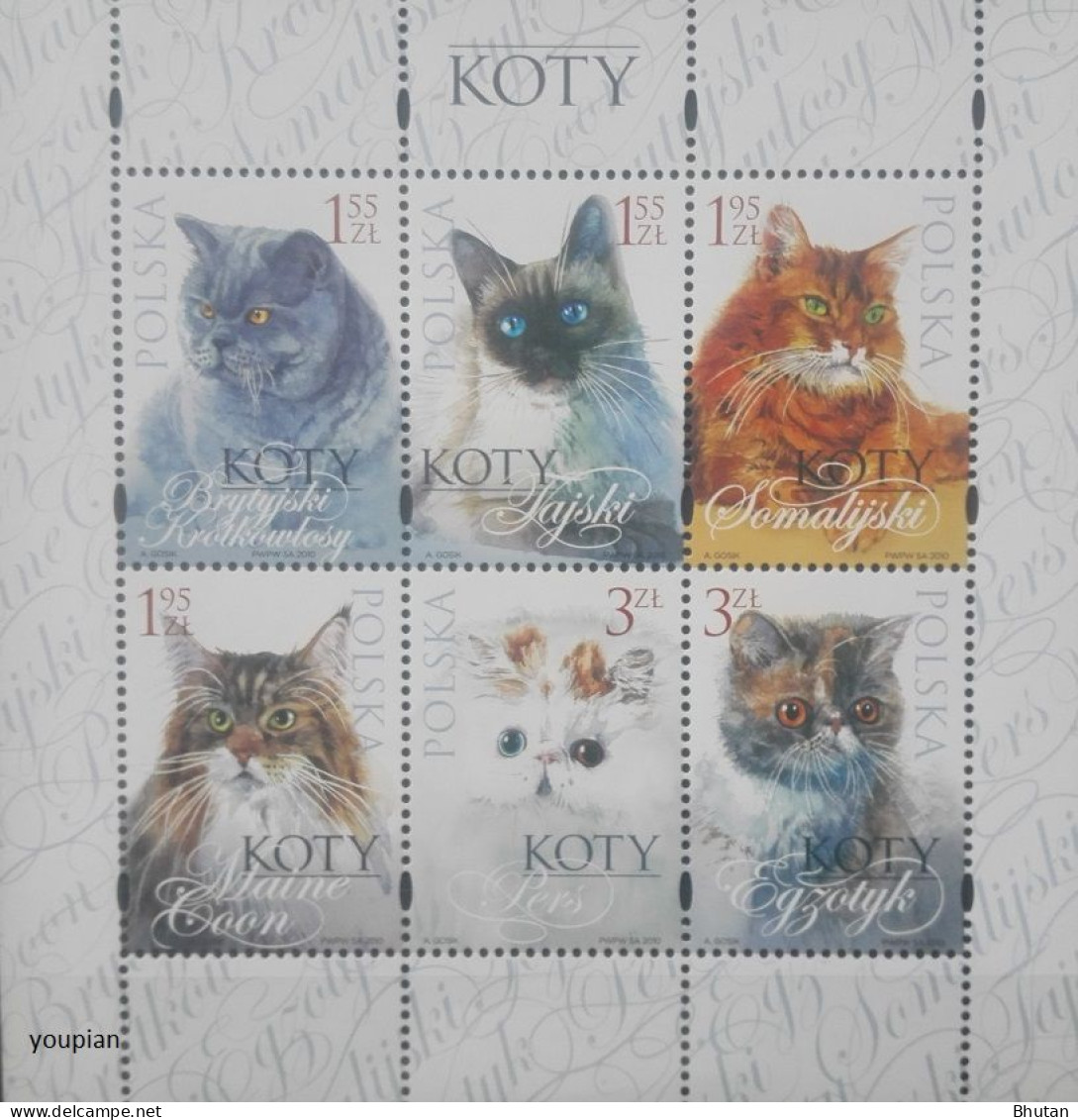 Poland 2010, Cats, MNH S/S - Unused Stamps