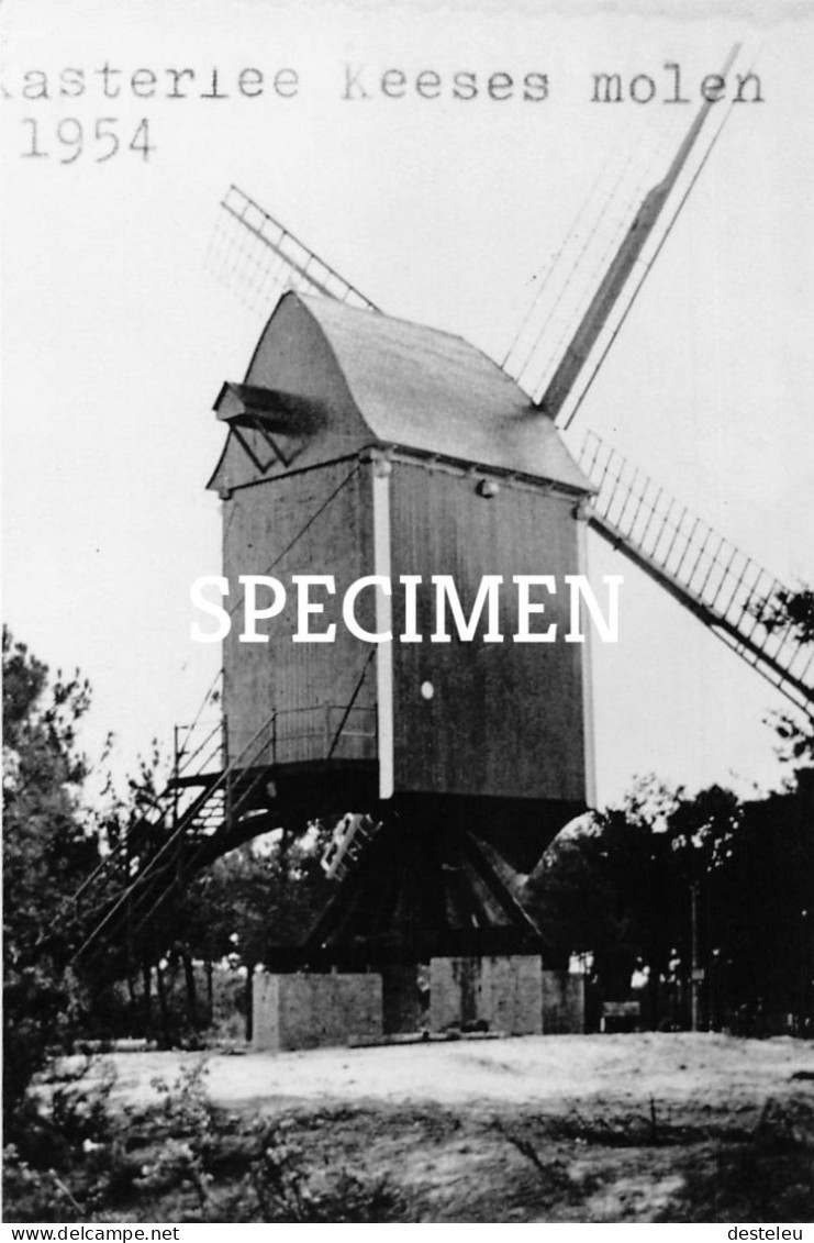 Keeses Molen - Kasterlee - Copy - Kasterlee