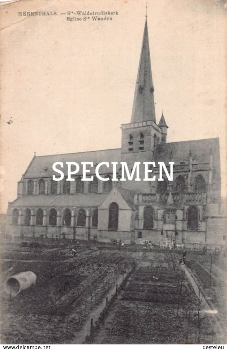 Ste Waldetrudiskerk - Herentals - Herentals