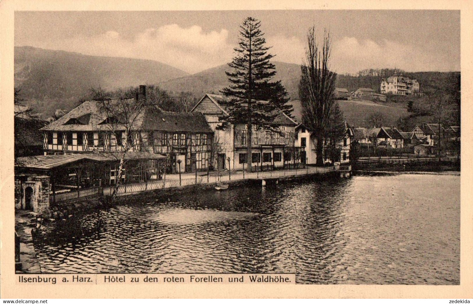 H0531 - Ilsenburg (Harz) - Hotel Zu Den Roten Forellen - Ilsenburg