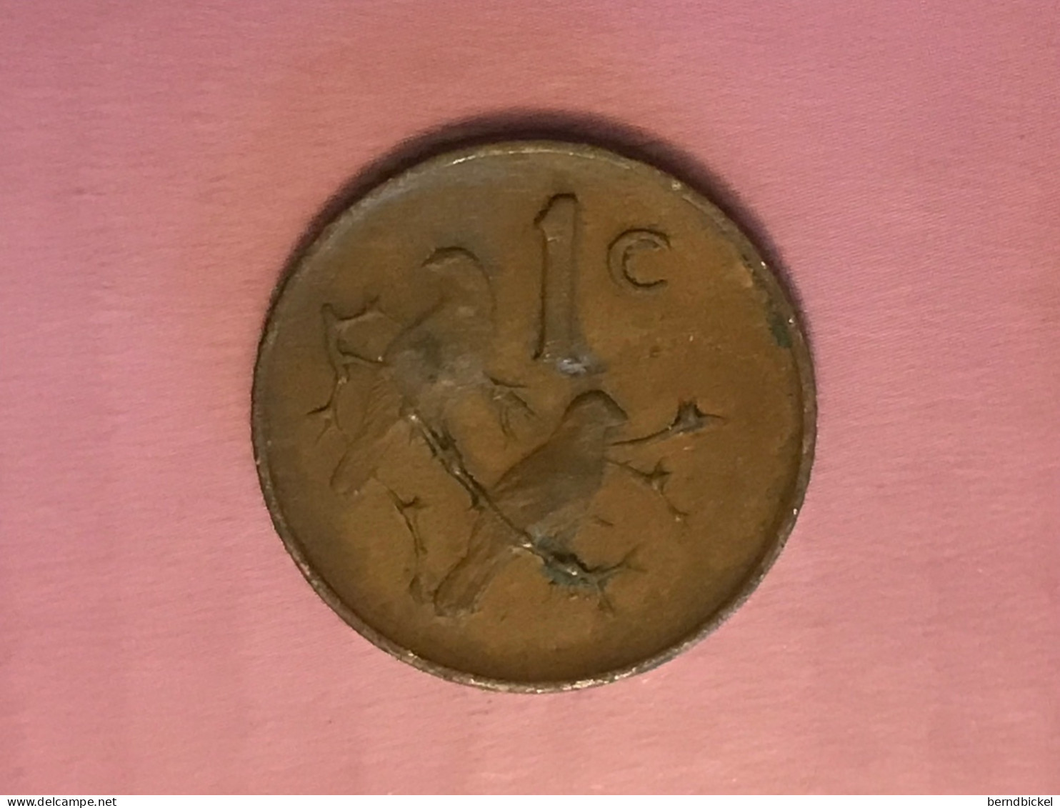 Münze Münzen Umlaufmünze Südafrika 1 Cent 1966 - Afrique Du Sud