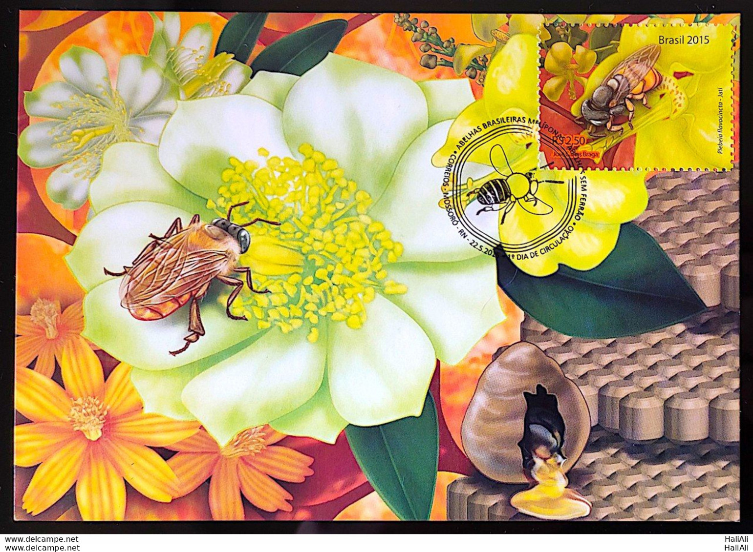 Brazil Maximo Postcard 2015 Honey Bees Postcard CBC RN - Sonstige & Ohne Zuordnung