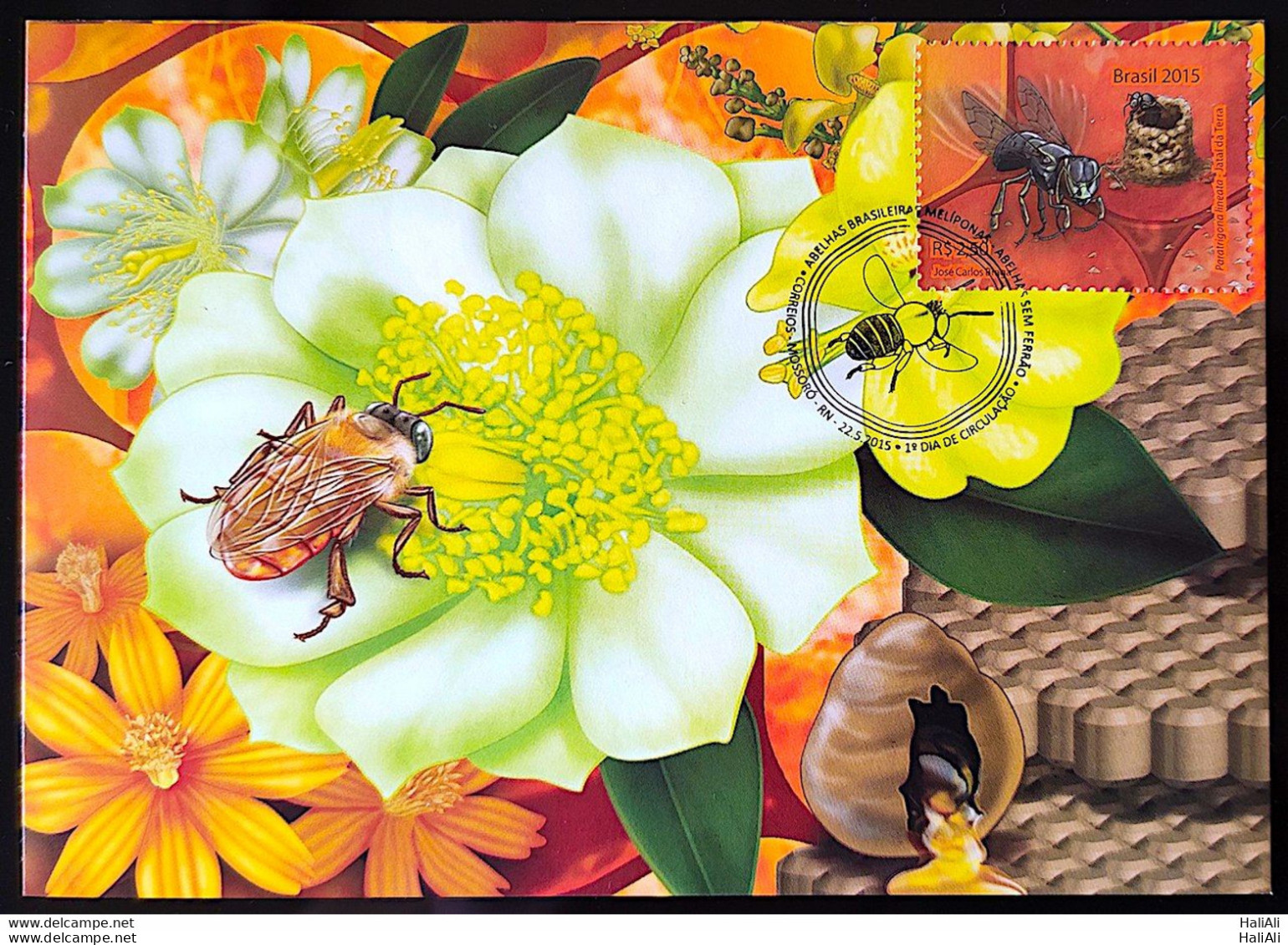 Brazil Maximo Postcard 2015 Honey Bees Postcard CBC RN - Altri & Non Classificati