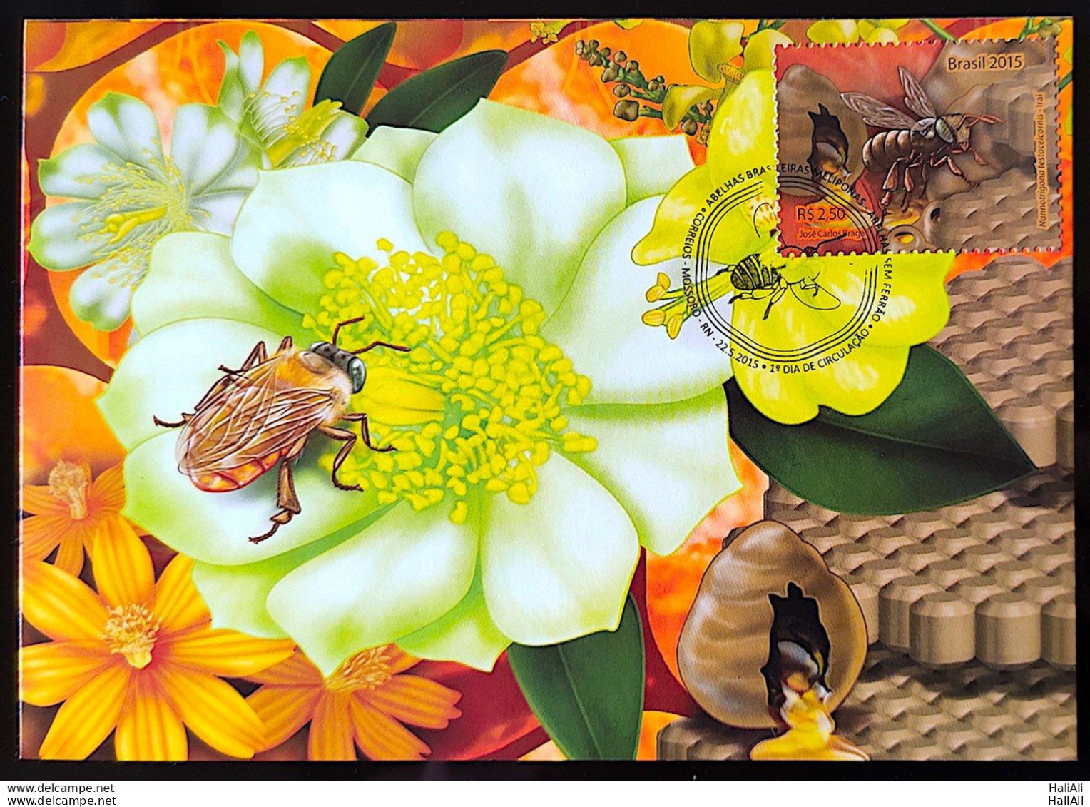 Brazil Maximo Postcard 2015 Honey Bees Postcard CBC RN - Otros & Sin Clasificación