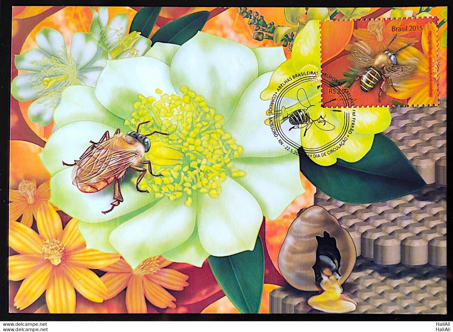 Brazil Maximo Postcard 2015 Honey Bees Postcard CBC RN