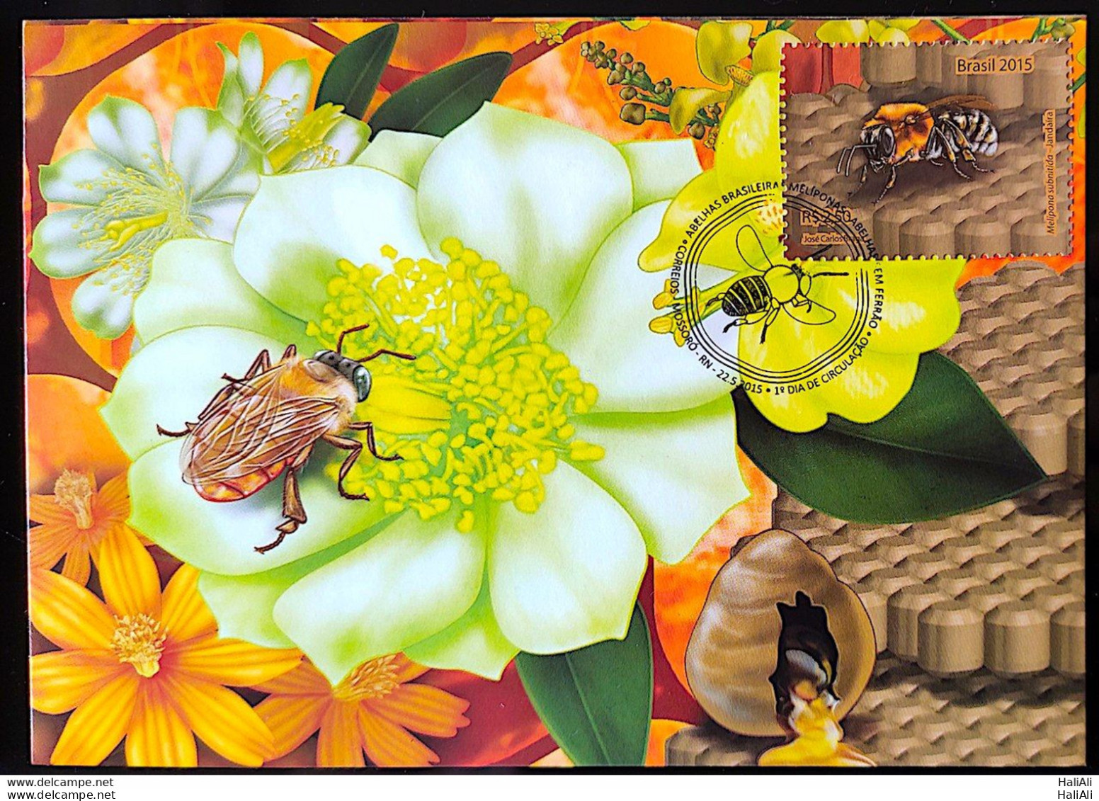 Brazil Maximo Postcard 2015 Honey Bees Postcard CBC RN