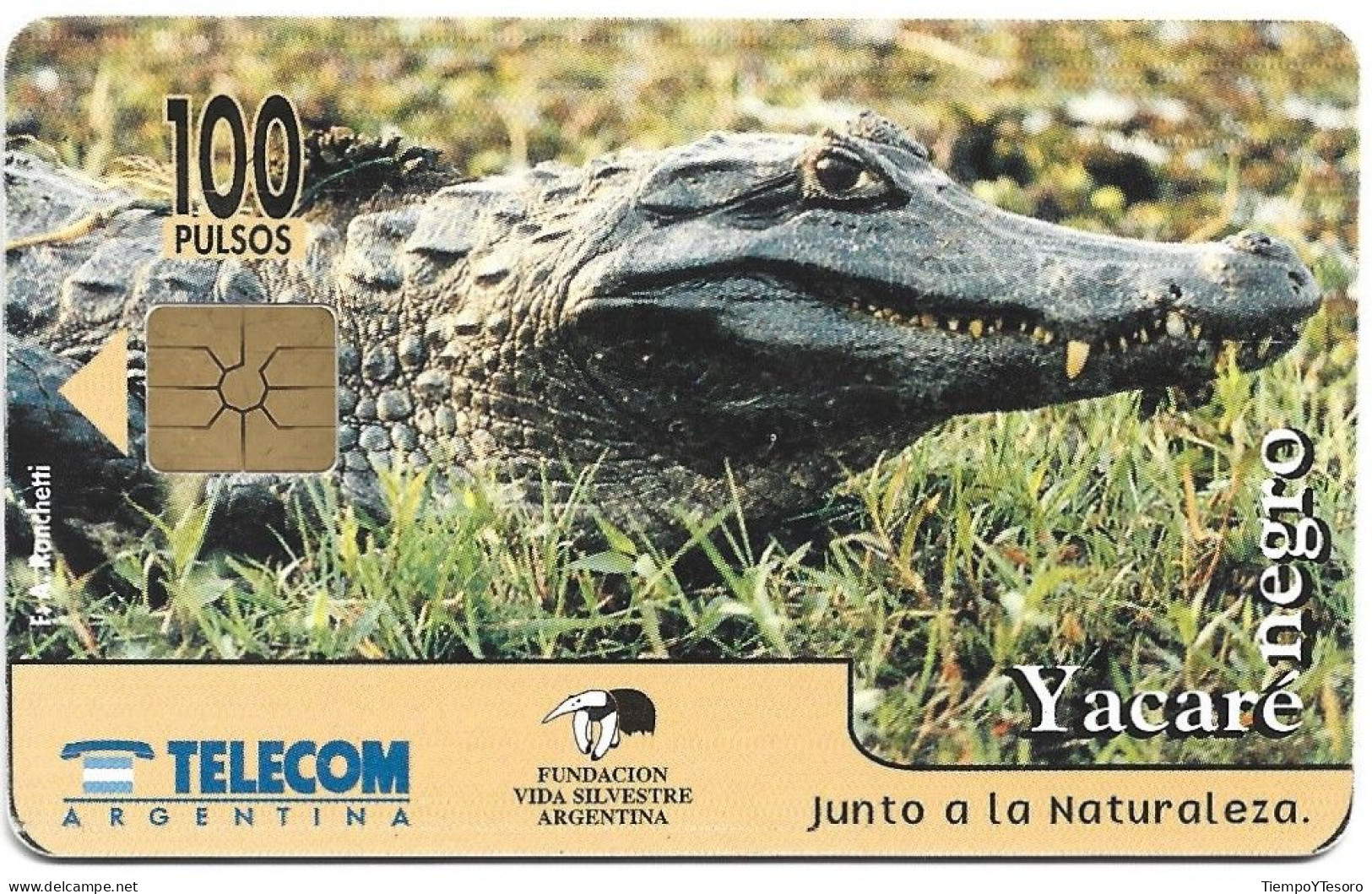 Phonecard - Argentina, Black Yacaré, Telecom, N°1079 - Argentinien
