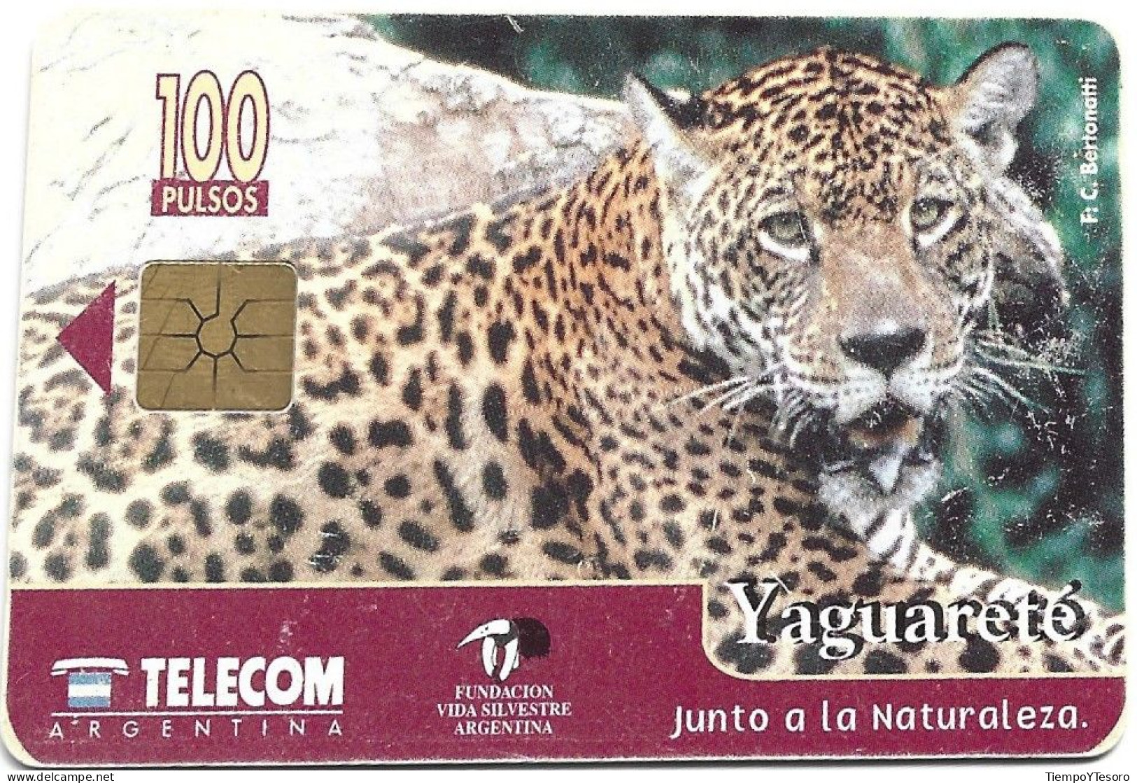 Phonecard - Argentina, Yaguareté, Telecom, N°1087 - Argentinien