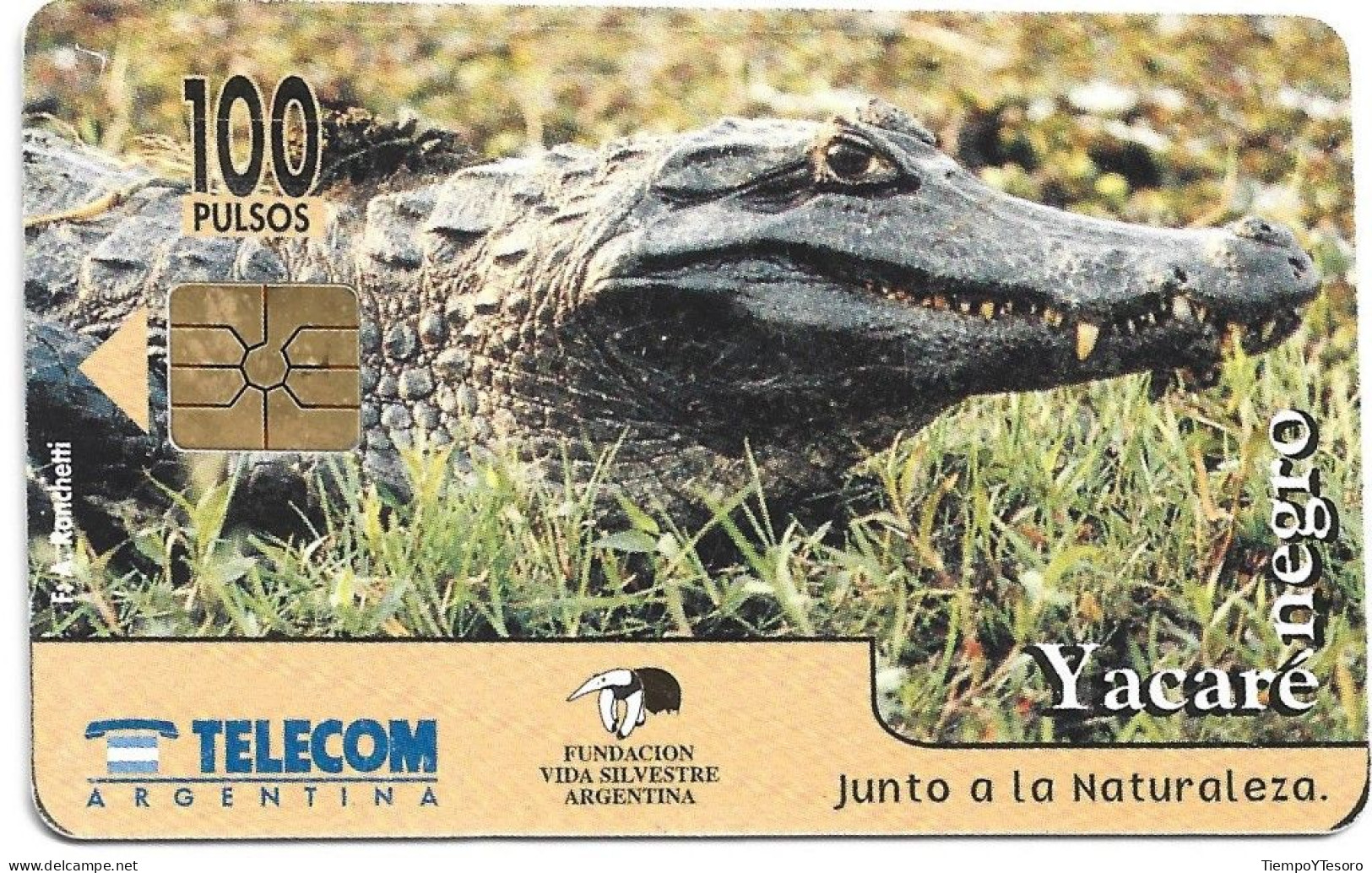 Phonecard - Argentina, Black Yacaré 2, Telecom, N°1088 - Argentine