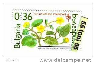 2003 Flora National Philatelic Exhibition / Protected Plant / 1v.- MNH  BULGARIA / BULGARIE - Unused Stamps