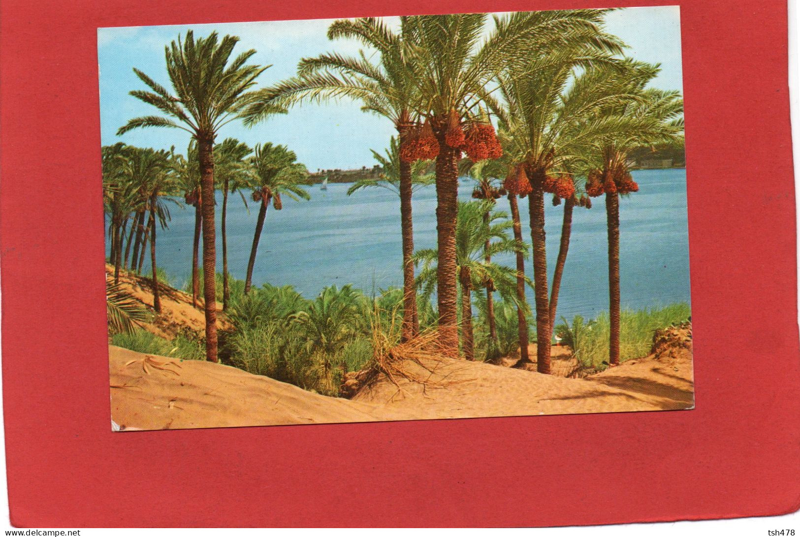 EGYPTE----ASSOUAN--- ASSWAN--Beautiful View Of The Nile At Asswan--voir 2 Scans - Assuan