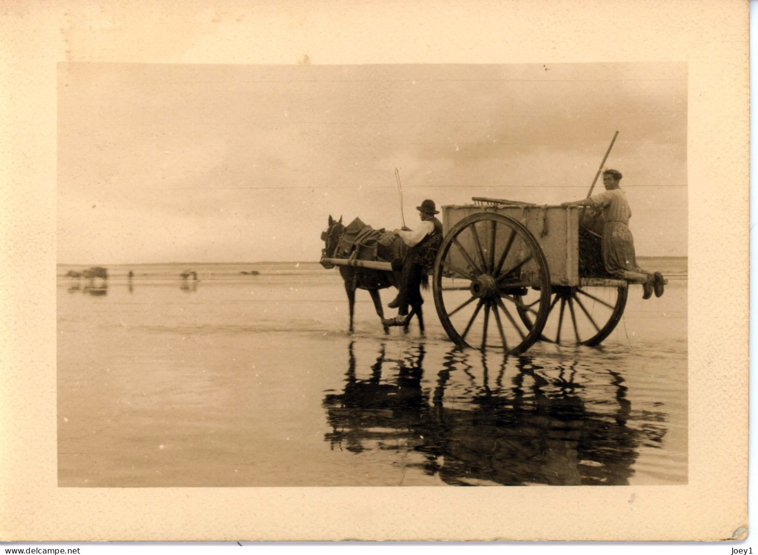 Photo De St Martin De Bréhal, Ramassage Du Varech Département De La Manche Années 1920 Format 13/18 - Places