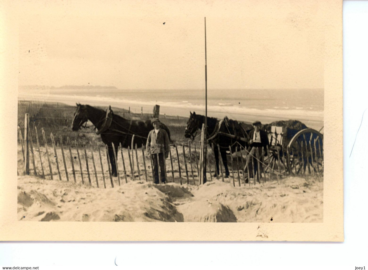 Photo De St Martin De Bréhal, Ramassage Du Varech Département De La Manche Années 1920 Format 13/18 - Orte