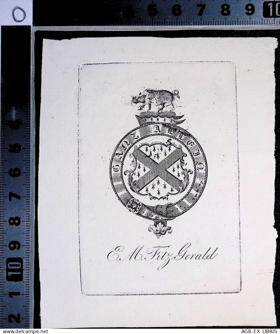 EX LIBRIS Per E.M. FITZ GERALD  L17-F01 XVIII° XIX° SECOLO ARALDICO ARMORIAL - Exlibris