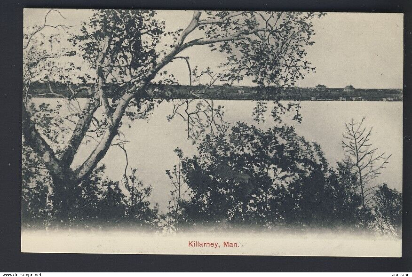 KILLARNEY MANITOBA - Panoramic View From Across Lake - Other & Unclassified