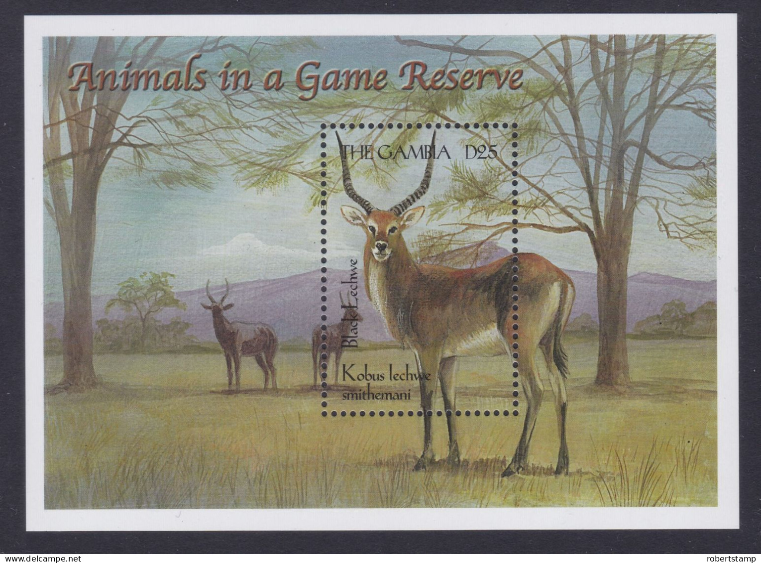 GAMBIA 2000 - Wildlife Of Africa Souvenir Sheet -MNH- - Gambia (1965-...)