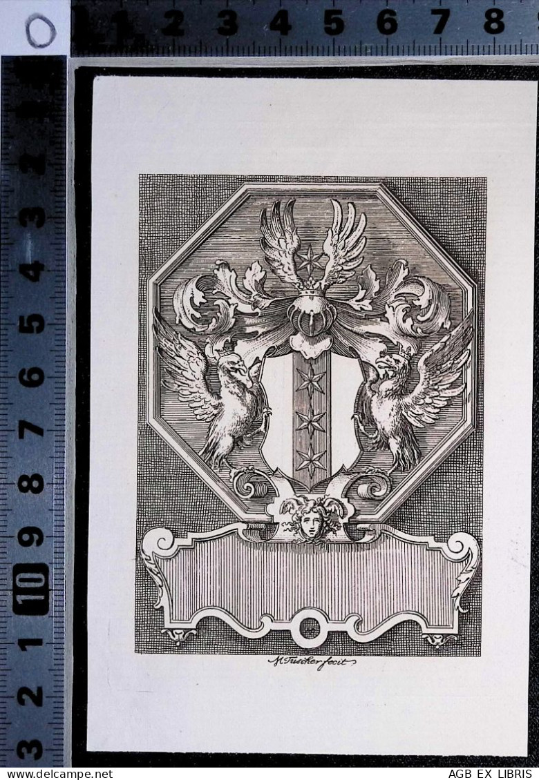 EX LIBRIS M TUSCHER FECIT Per H. HJELMSTJERNE  L17-F01 XVIII° XIX° SECOLO ARALDICO ARMORIAL +++ - Exlibris