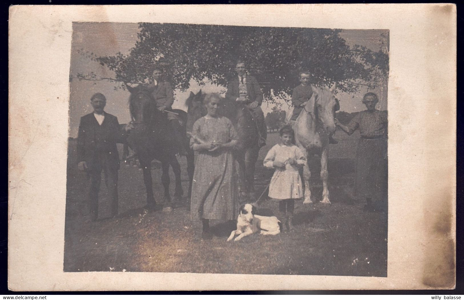 +++ Photo Carte - Famille De ST DENIS BOVESSE - Chevaux  // - La Bruyere