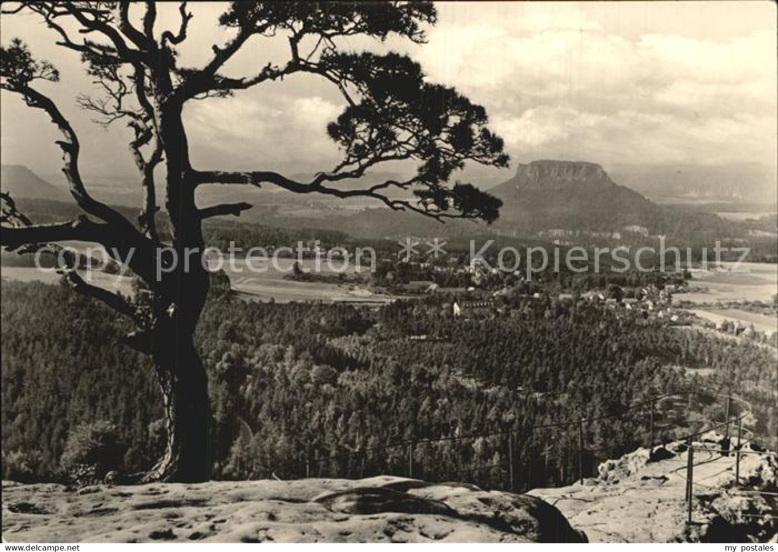 72551632 Gohrisch Blick Vom Papststein Lilienstein Gohrisch - Gohrisch