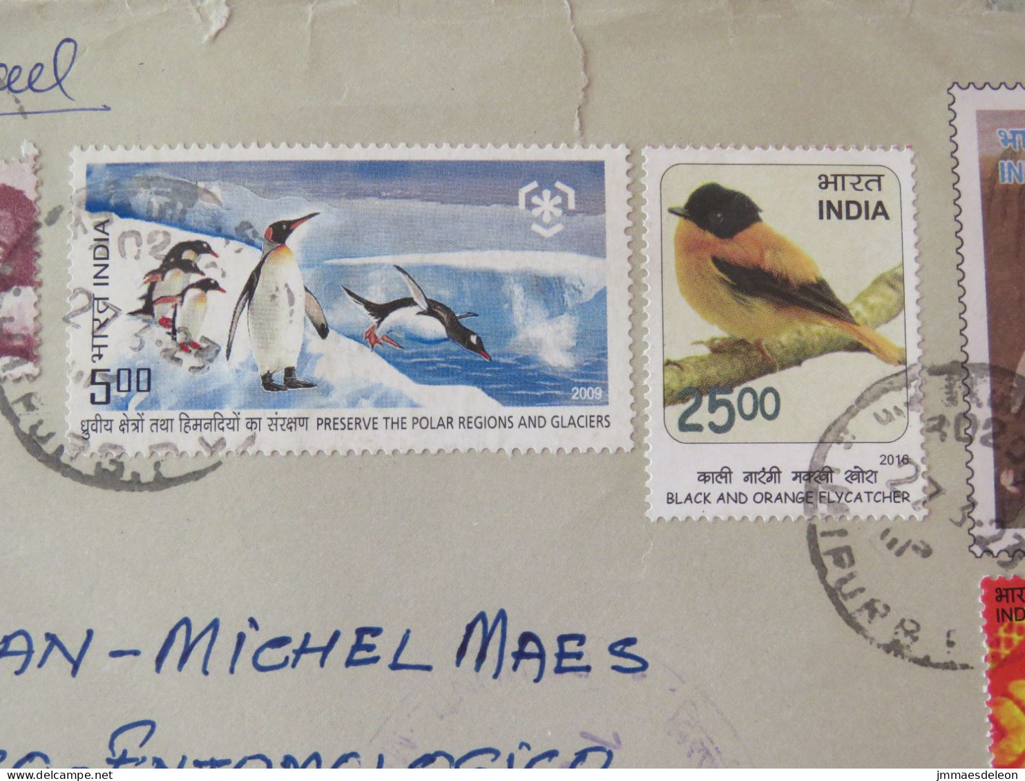 India 2023 Front Of Stationery Cover To Nicaragua - Painting Bird Penguins Polar - Briefe U. Dokumente