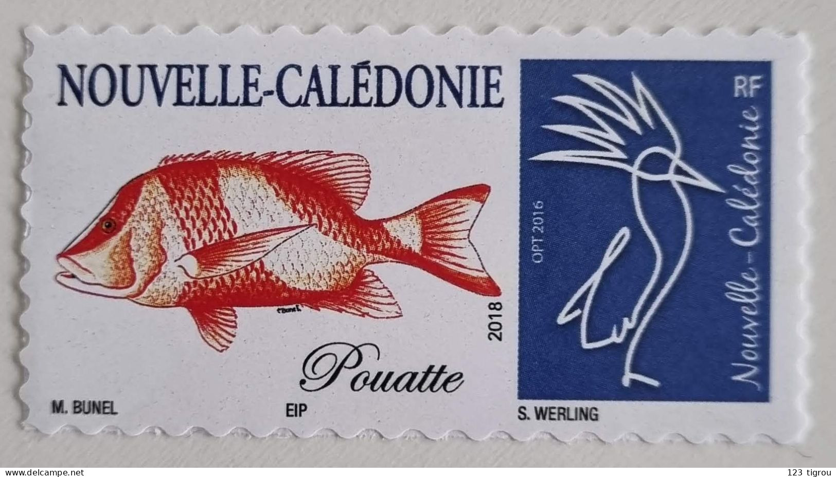 CAGOU PERSONNALISE LOGO POISSON POUATTE DE BUNEL TB - Neufs