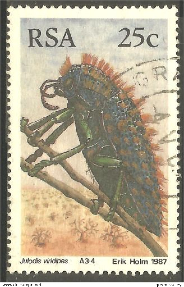 XW01-2180 RSA South Africa Insecte Insect Coleopter Scarabée Beetle Insekt Julodis - Used Stamps