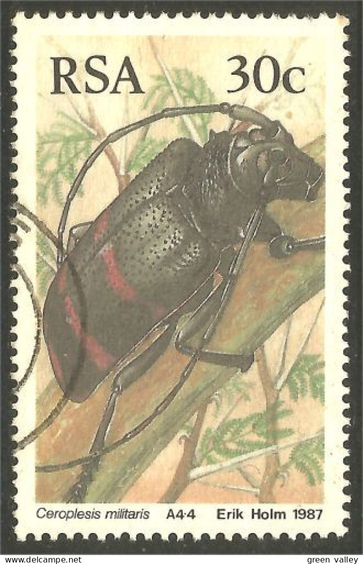 XW01-2176 RSA South Africa Insecte Insect Coleopter Scarabée Beetle Insekt Ceroplesis - Used Stamps