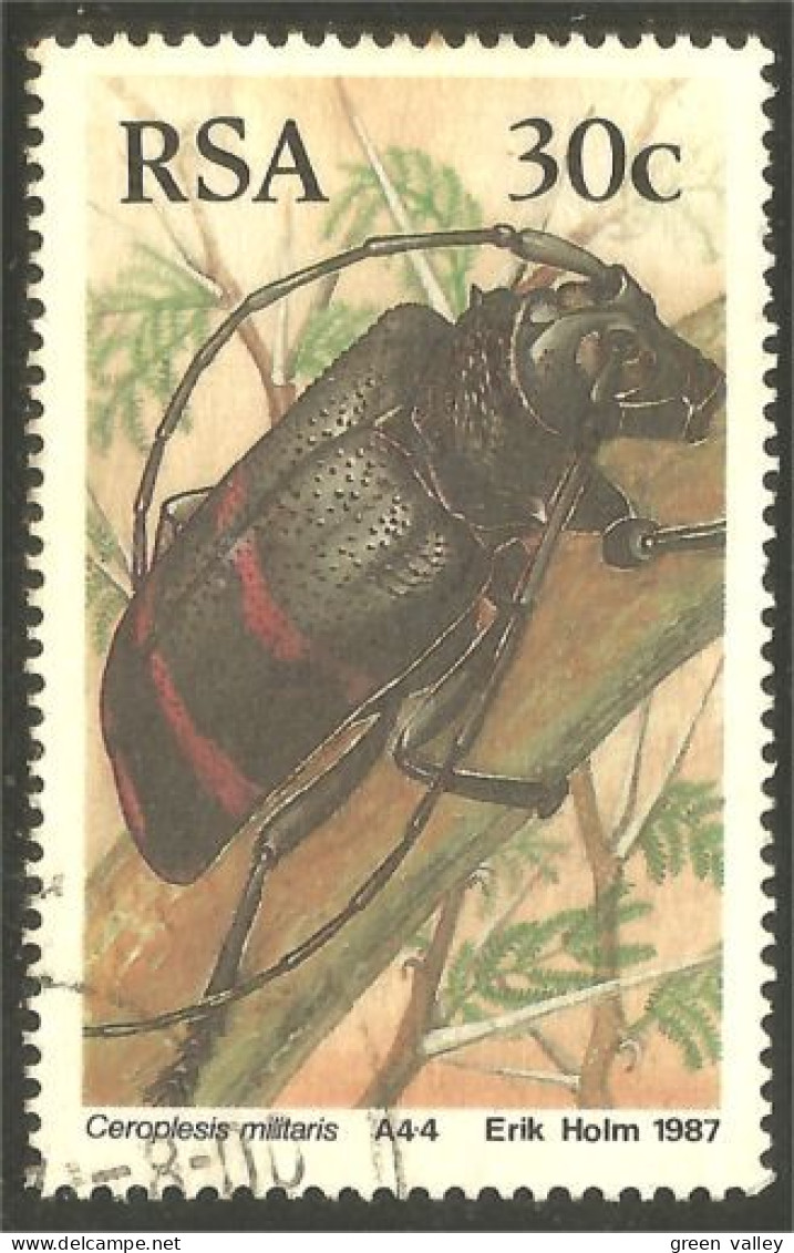 XW01-2177 RSA South Africa Insecte Insect Coleopter Scarabée Beetle Insekt Ceroplesis - Oblitérés