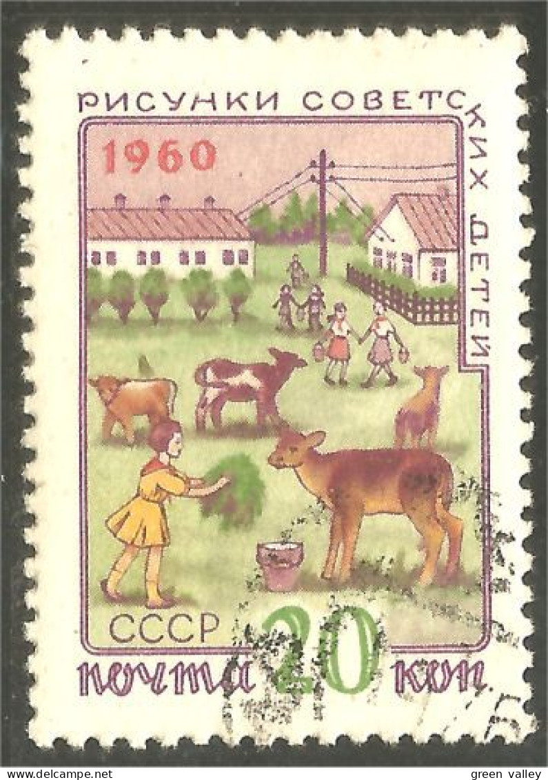 XW01-2029 Russia Farming Ferme Vache Kuh Koe Cow Vaca Vacca - Mucche