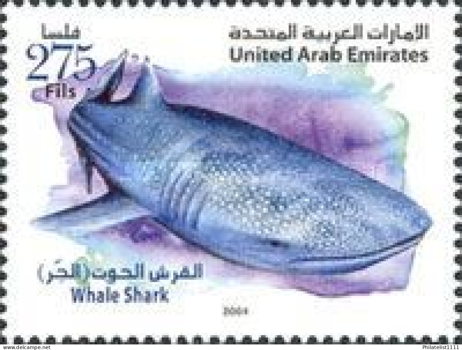 Fish - Dubai