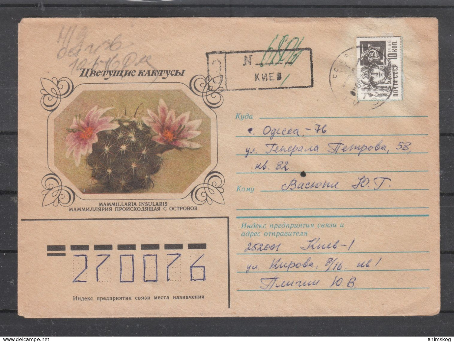 UdSSR, R-Ganzsachenbrief, Kaktus / USSR, Registered Stationary Cover, Cactus Cachet - Sukkulenten