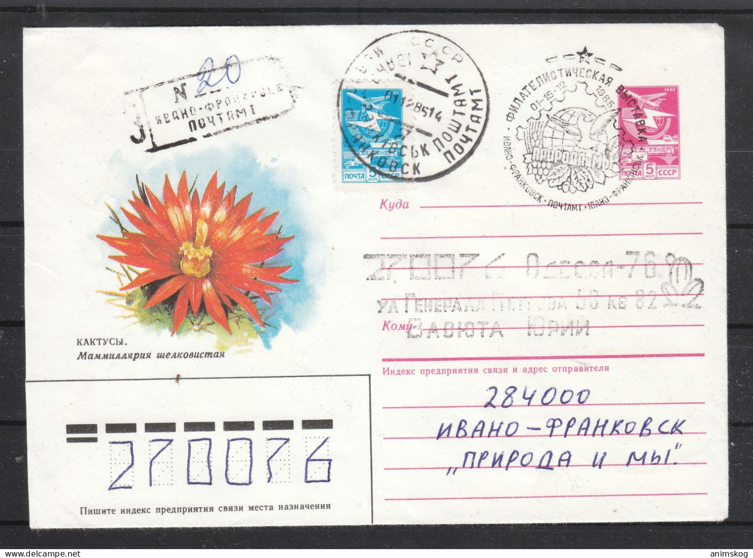 UdSSR, R-Ganzsachenbrief, Kaktus / USSR, Registered Stationary Cover, Cactus Cachet - Cactus