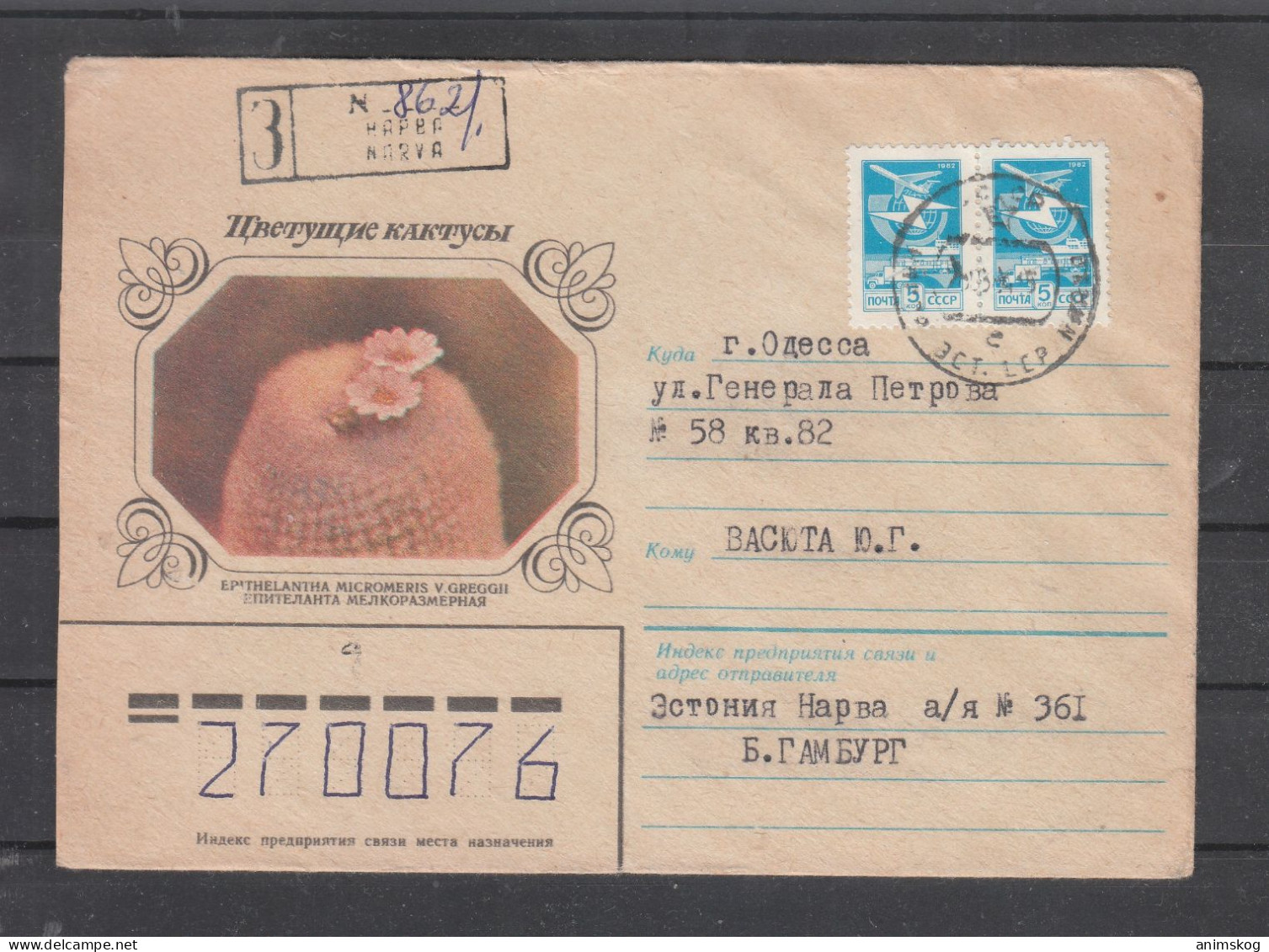 UdSSR, R-Ganzsachenbrief, Kaktus / USSR, Registered Stationary Cover, Cactus Cachet - Cactusses