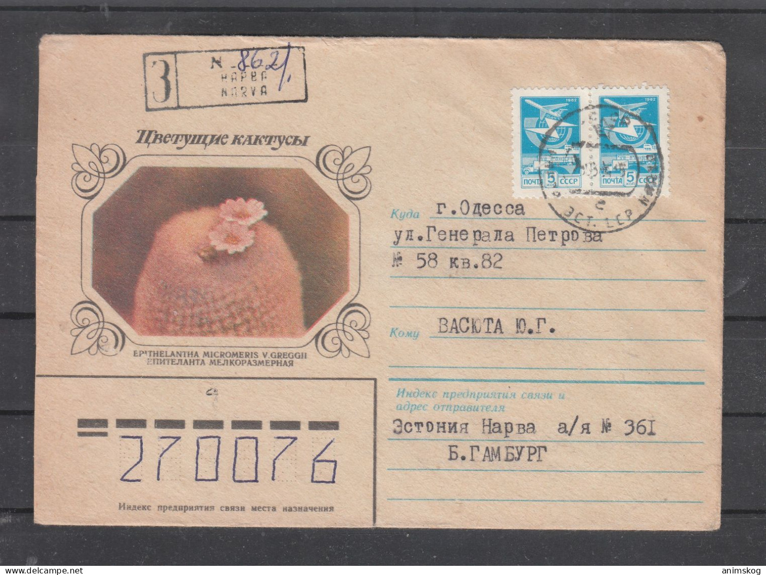 UdSSR, R-Ganzsachenbrief, Kaktus / USSR, Registered Stationary Cover, Cactus Cachet - Sukkulenten